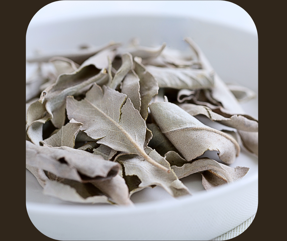 California Sage White | M'shki ki Medicine Basket Inc.